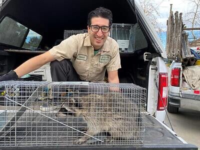 Norfolk pest control